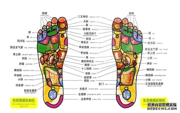 关于胃痛用穴治疗的诸多疑惑