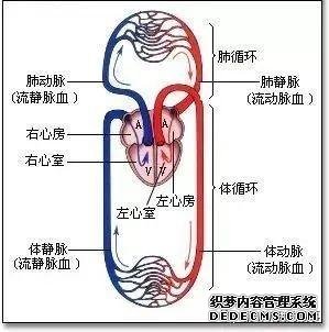 后疫情时代的自我重构:养心3.0-4D保健