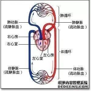 后疫情时代的自我重构：养心3.0-4D保健