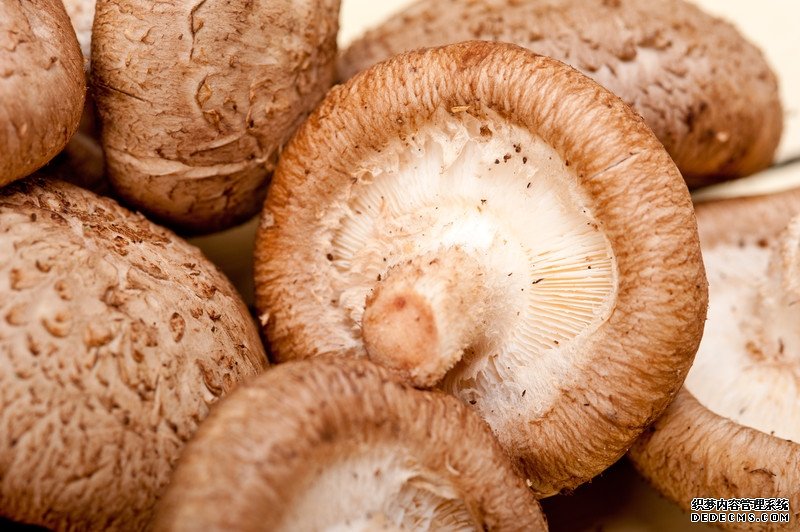 硒对身体有多重要,您知道吗?哪些食物富含硒元素呢?医生告诉您