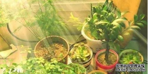 十种健康的养生方式!(建议永久坚持)