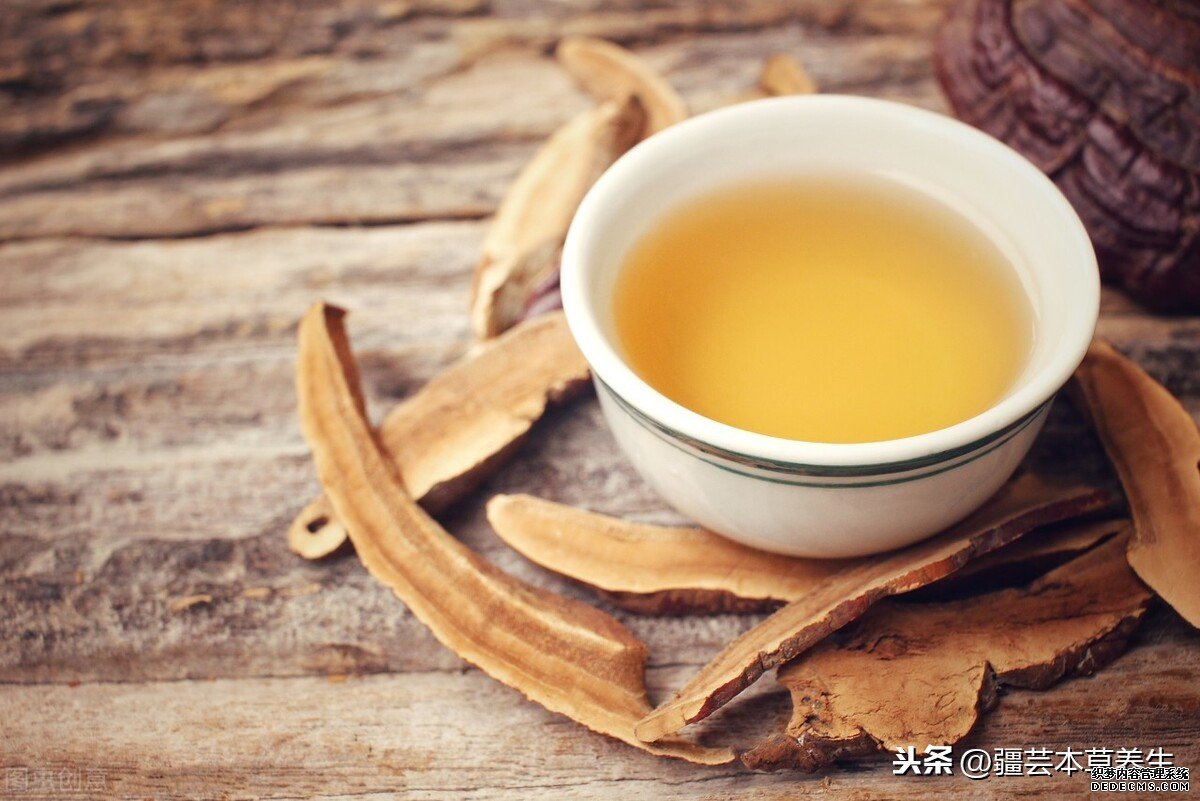 身体虚弱能长期和鹿角灵芝草泡水吗?鹿角灵芝有啥禁忌?