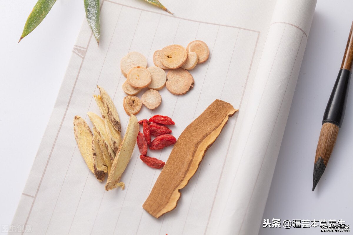 身体虚弱能长期和鹿角灵芝草泡水吗?鹿角灵芝有啥禁忌?