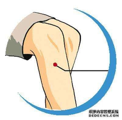 细说“足三里”,保健排第一