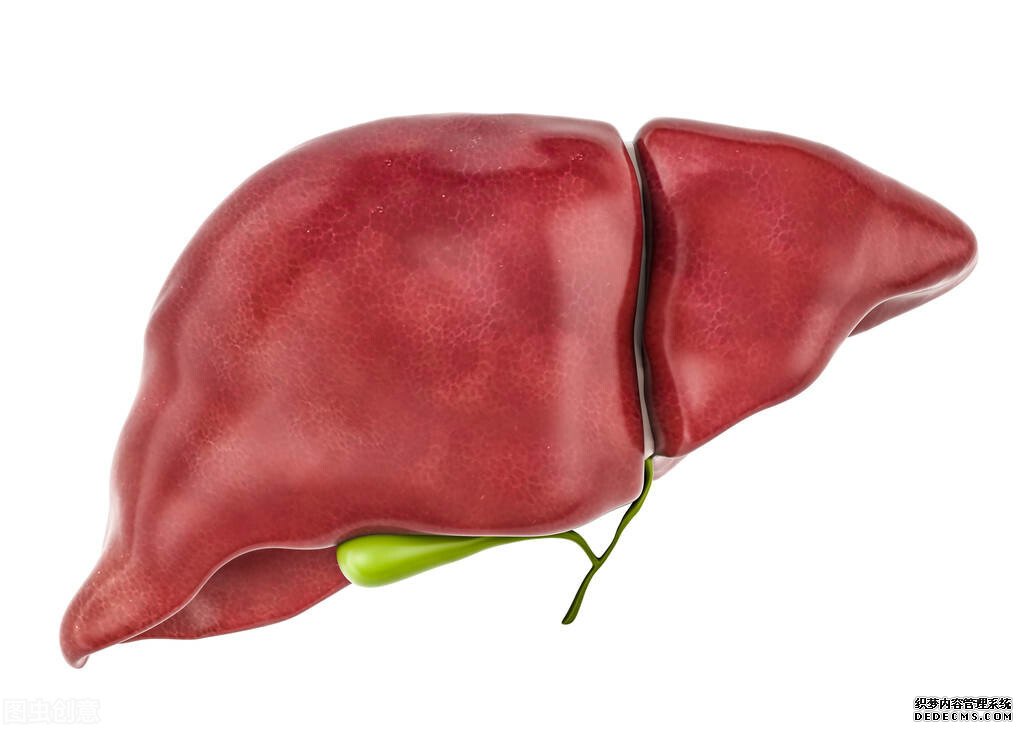 肝硬化TIPS术后可否进食动物蛋白吗?