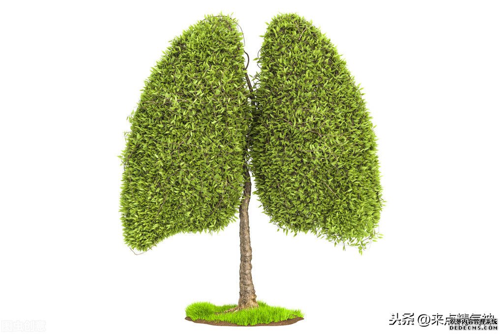 每天3次!帮助鼻子防止寒气侵犯体内。鼻炎或鼻子不灵敏的注意