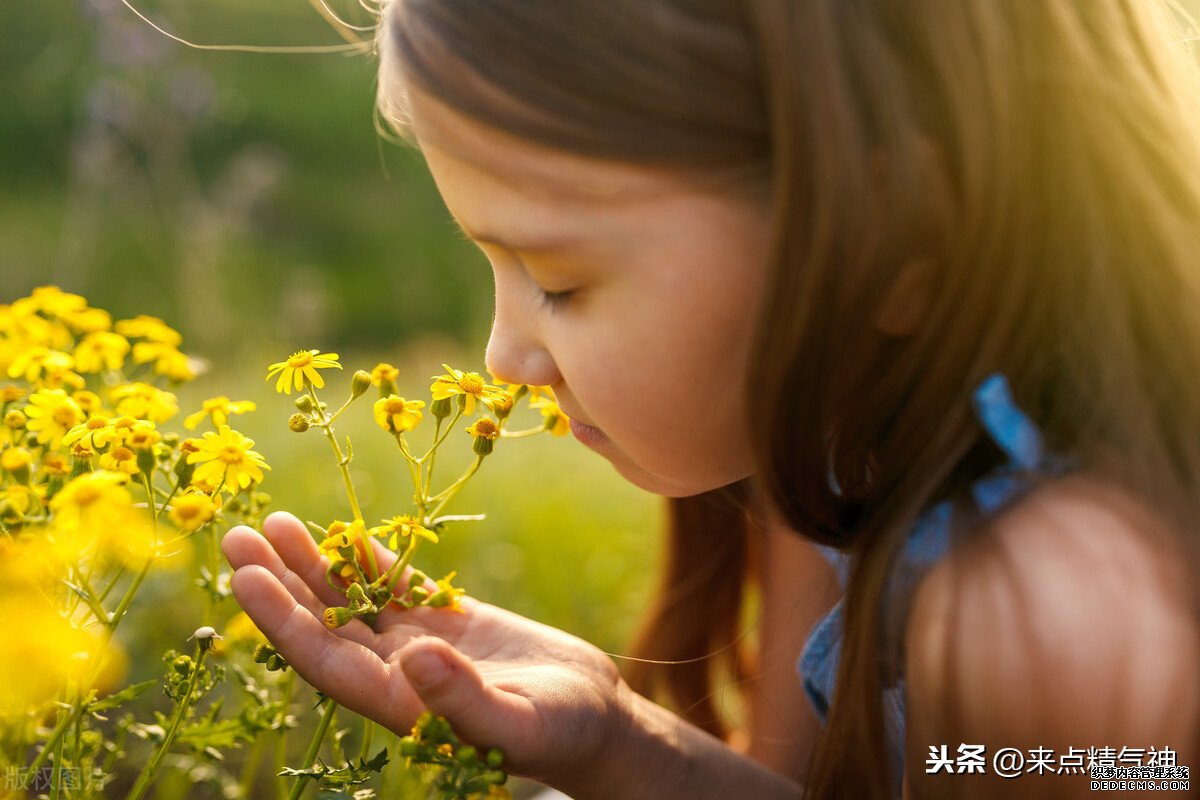 每天3次!帮助鼻子防止寒气侵犯体内。鼻炎或鼻子不灵敏的注意