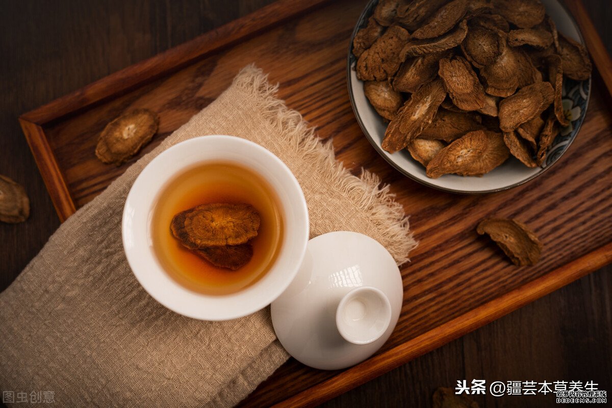 牛蒡根泡茶味道如何？制作一杯清热解毒牛蒡菊花茶