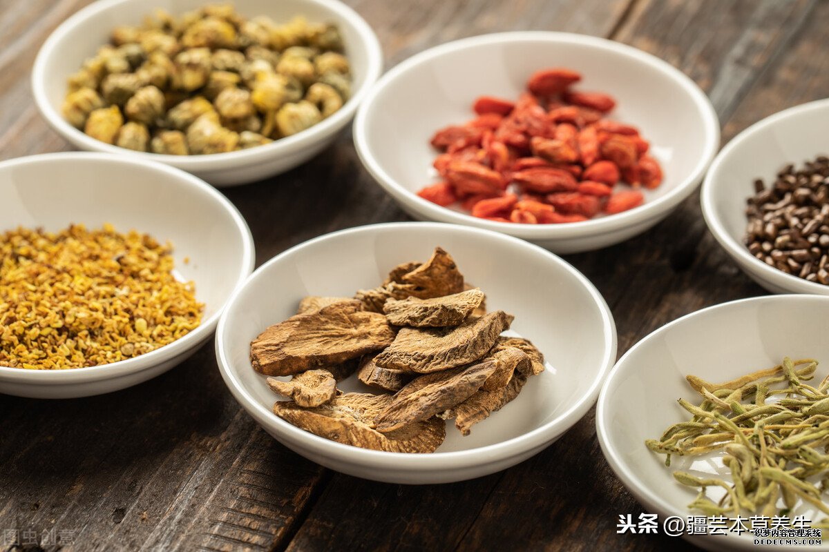 牛蒡根泡茶味道如何?制作一杯清热解毒牛蒡菊花茶