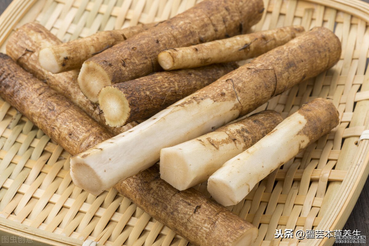 牛蒡根泡茶味道如何?制作一杯清热解毒牛蒡菊花茶
