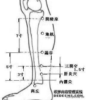 肝脏就是“油烟机”!油污太多导致脂肪肝,穴位“揉”回去