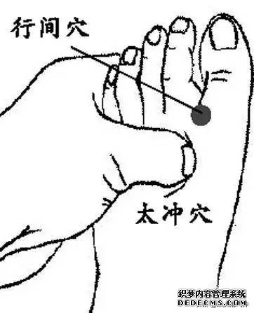 肝脏就是“油烟机”!油污太多导致脂肪肝,穴位“揉”回去