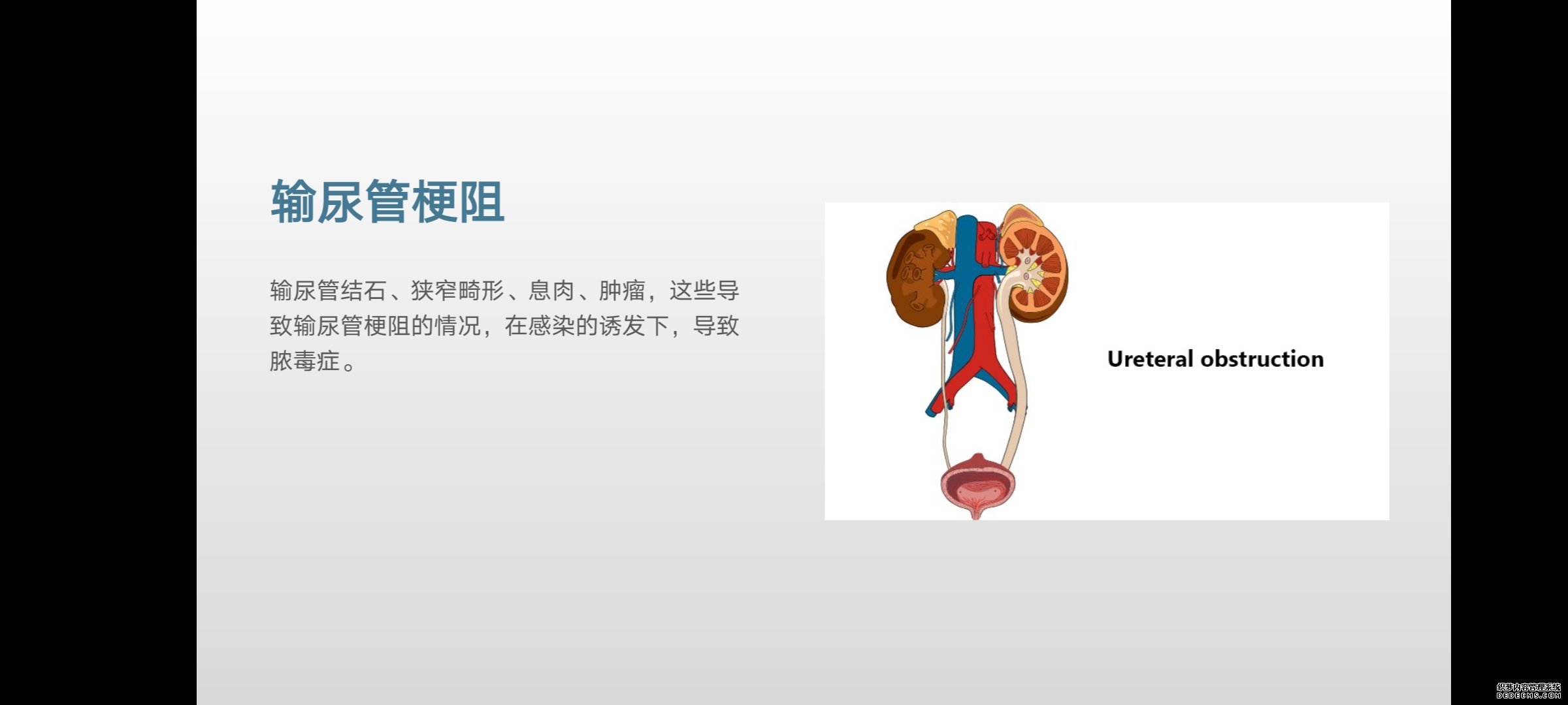 小病要人命！