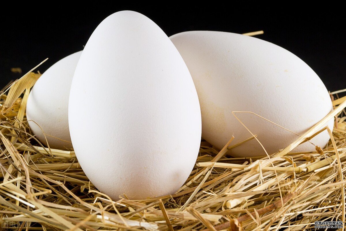 为什么鹅肉常见，但是鹅蛋却很少见？鹅蛋的营养价值如何？
