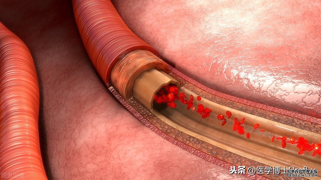 拥有长寿体质的男性,身体往往“2净、2软”,希望你也在其中