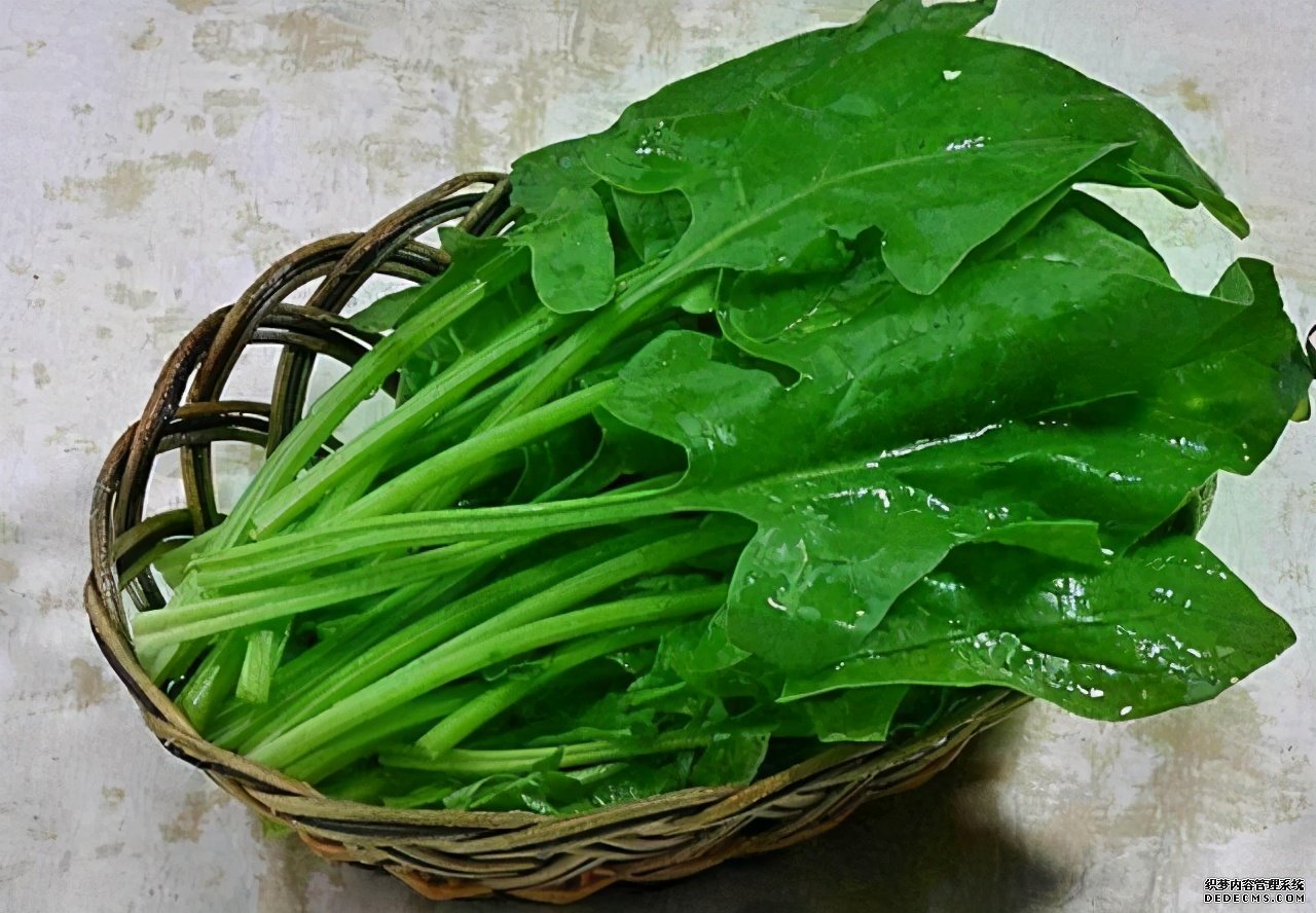 眼睛常常出现“酸痛”?多吃这些“食物”,远离疲劳与干涩
