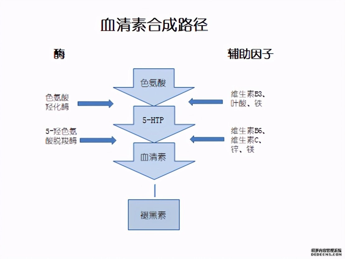 抑郁症与焦虑症(四):补充色氨酸,5HTP的作用