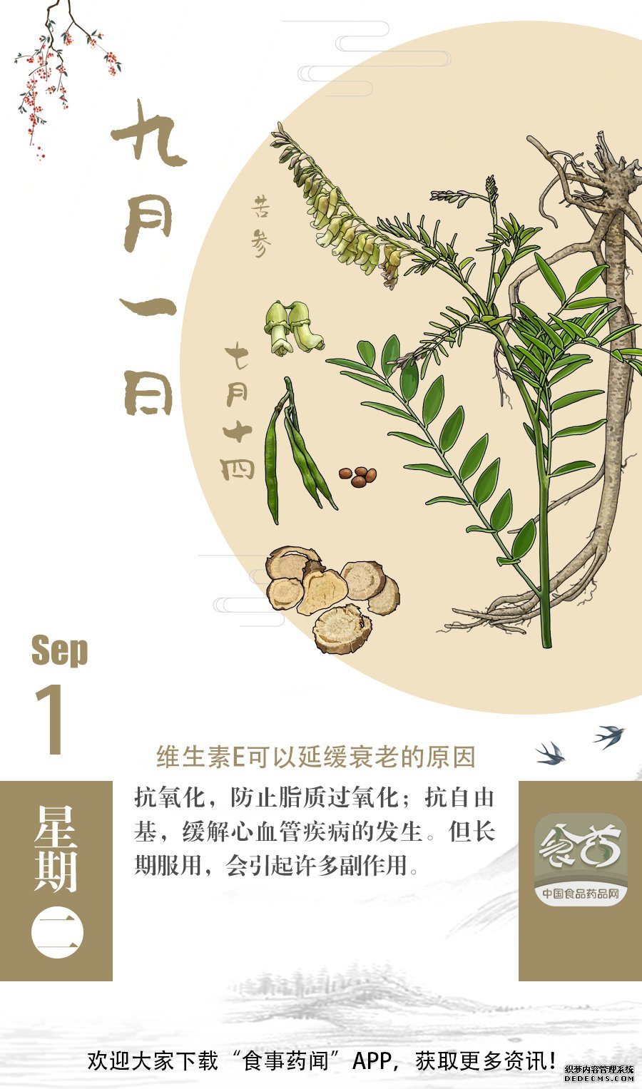 早安|小科普——维生素E可以延缓衰老的原因