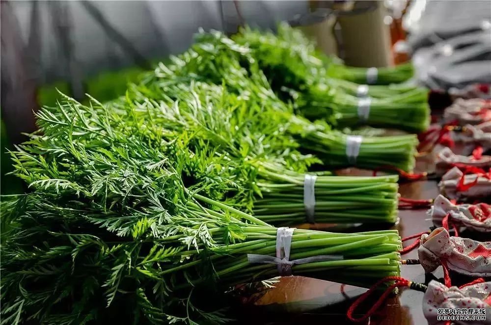 血管斑块可以消除吗?做到这四点,血管会被洗干净