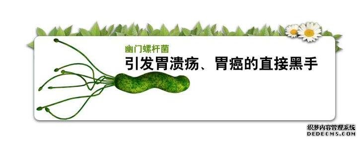 95后女孩子幽门螺杆菌值超标10倍,与饮食有关系?