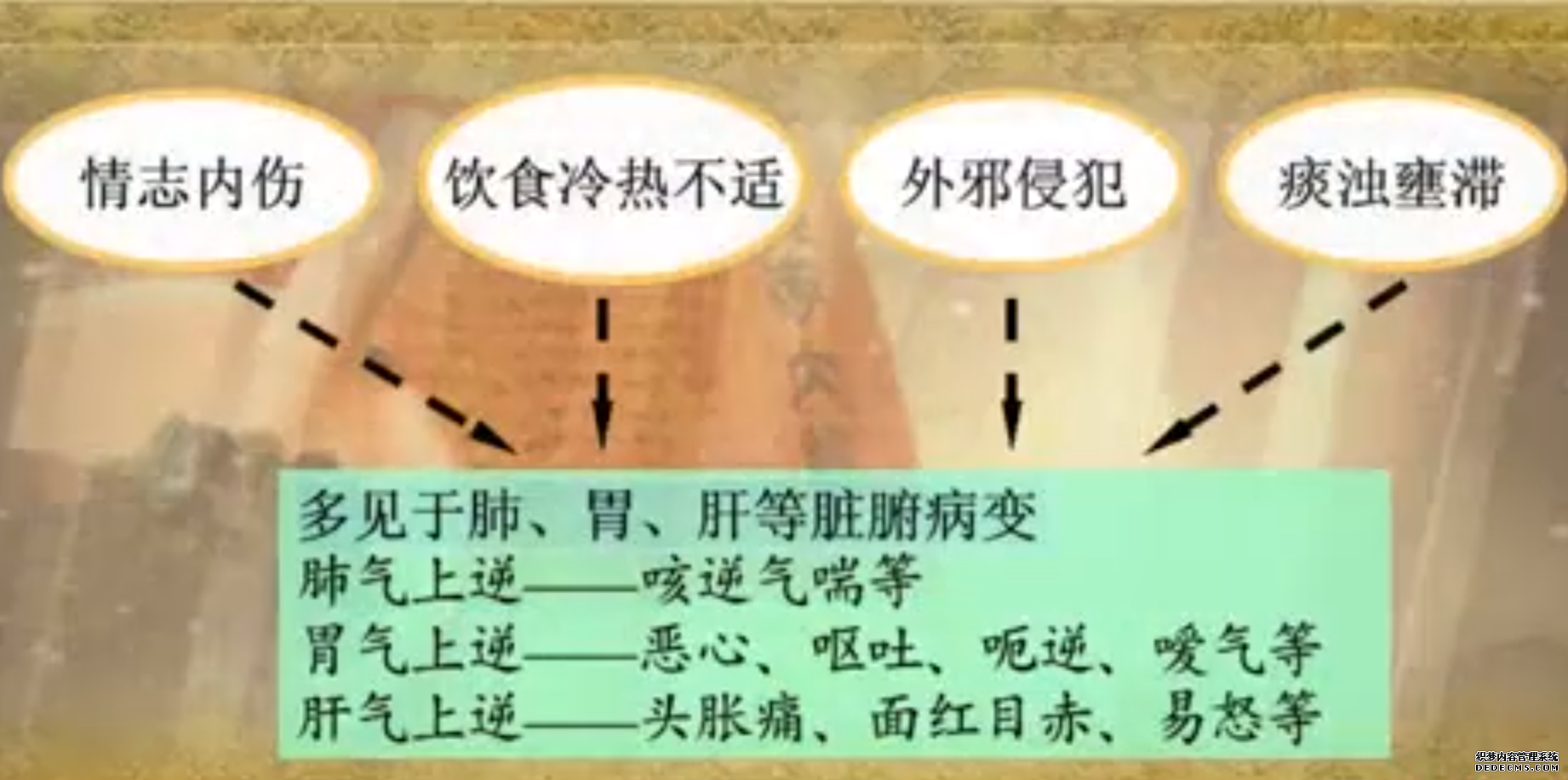中医基础理论——基本病机(二)