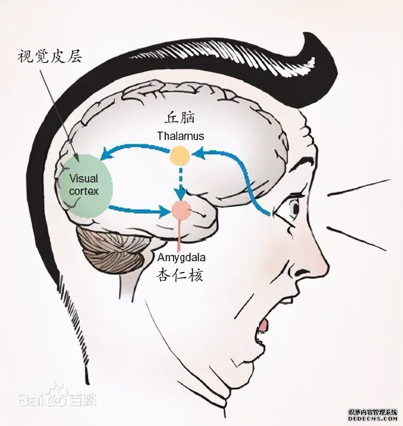 吃货的困扰：“为啥我明明不饿却总想吃东西？”