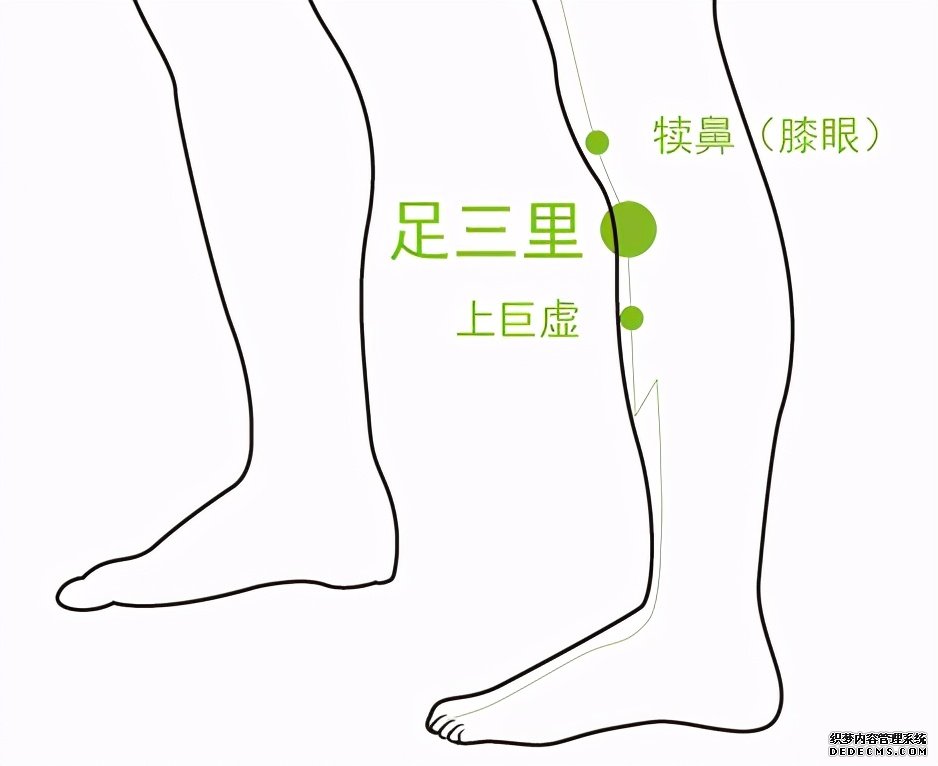 喝凉水都发胖,你怕是有胃寒了