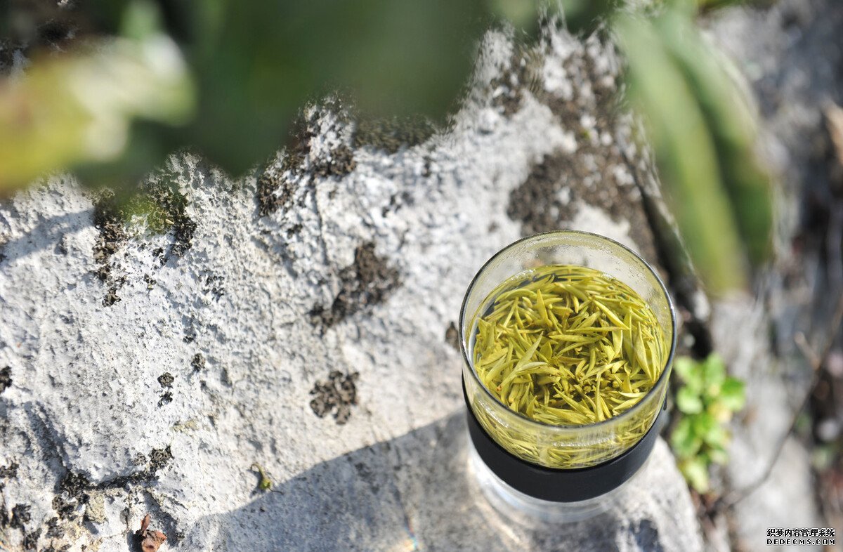 茶叶是酸性还是碱性?