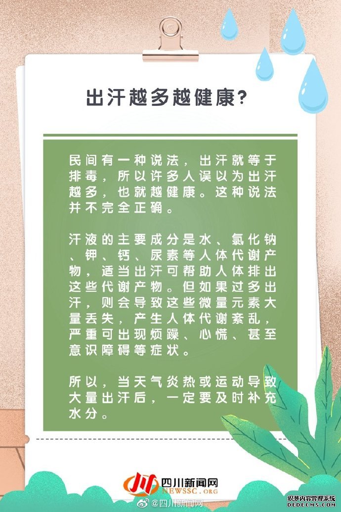 小科普 当代“打工人”养生误区指南，了解养生的那些事儿